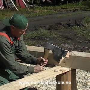 6 TOMS BUNN OG VEGGSTOKKER I LAFT